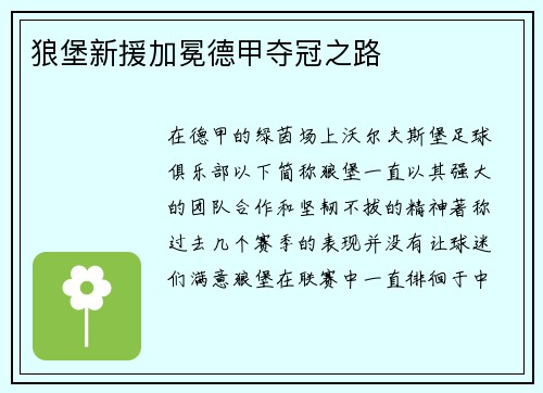 狼堡新援加冕德甲夺冠之路