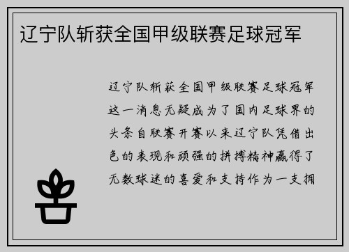 辽宁队斩获全国甲级联赛足球冠军