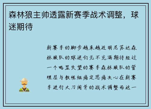 森林狼主帅透露新赛季战术调整，球迷期待